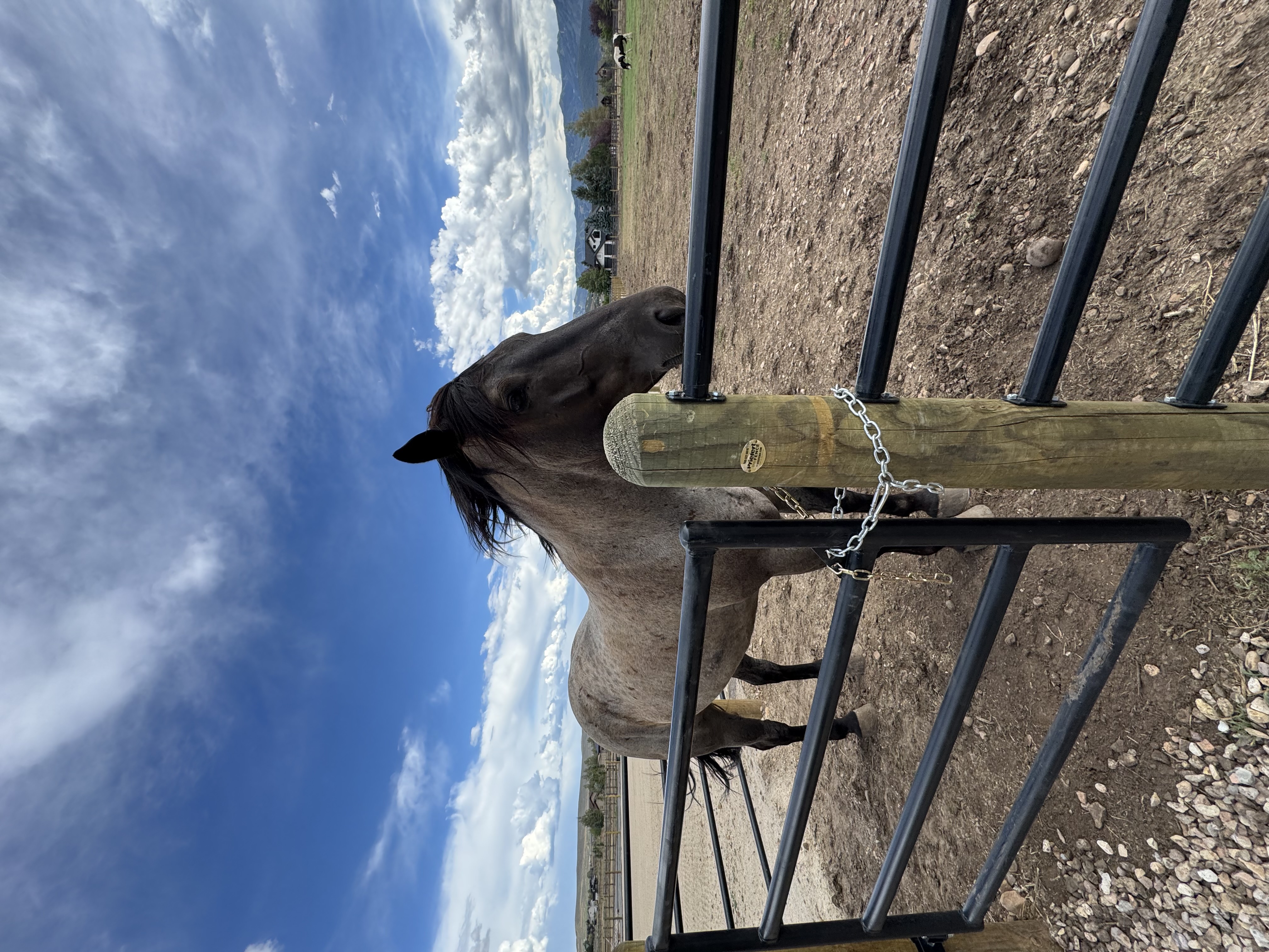 Priefert Ponderosa Four-Rail Fence with Wood Posts installed by Spacemakers Fence in Park City, Utah